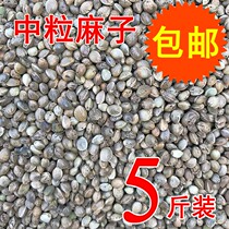 New hemp seed Parrot edible hemp seed Raw hemp seed Large grain Extra large pigeon food Bird food clean and full grain hemp seed