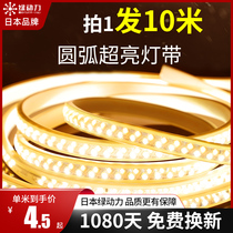 Green Power 10 m Tricolour lamp with led discoloration Home Outdoor Waterproof Living Room Ceiling Strip Line Lamp 220V