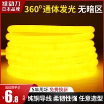 Green-powered round lamp with led flexible 360-degree luminous outdoor waterproof hose light strip neon 220v lamp with strip