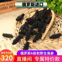 Russian wild sea cucumber dry goods imported pure light dry six rows of thorns without added red ginseng Russian ginseng direct broadcast room special price