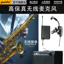 Musical instrument recording wireless microphone microphone saxophone flute duet electronic guitar