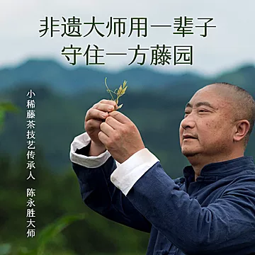 小稀藤来凤藤茶芽尖龙须茶降三高熬夜调肠道[40元优惠券]-寻折猪