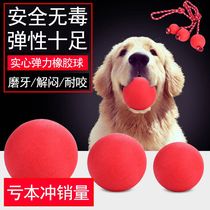Dog toy pet ball toy solid rubber ball training bite resistant ball golden hair toy dog grinding supplies