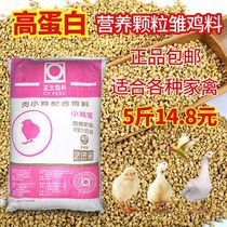 Small Chicken Feed Broken Dry Corn Grain Feeding Chicken Chick Medium Large Chicken Stock Phishing Sculling Nutraceutical Protein Chick Stock Chicken Stock