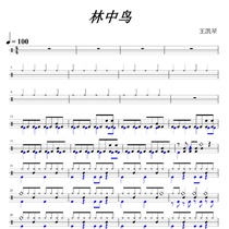 The drumming tympanum of the tympanum in the drum forest