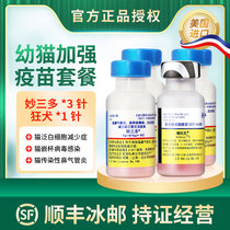 American imported three - dose cat triple vaccine 3 - pin Rabies puppet vaccine package for cat prevention