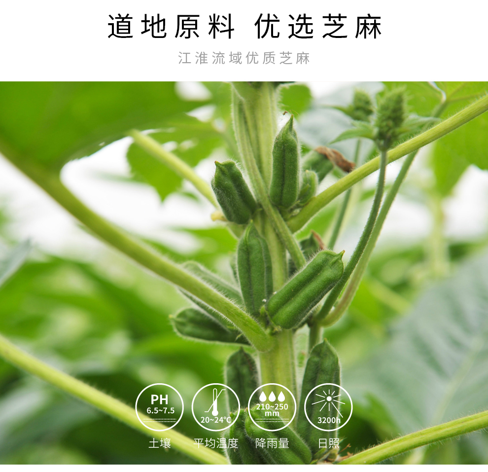 【稳定签到】正宗纯芝麻酱200g*2袋