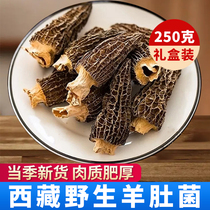 Tibet wild Morchella flagship store fresh dry goods 250g non 500 gift box Yunnan specialty mushroom
