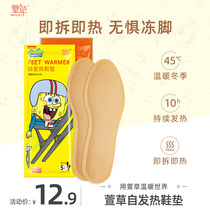 Daylily heating insole Female self-heating 12 hours free charging self-heating insole male can walk warm baby foot stickers