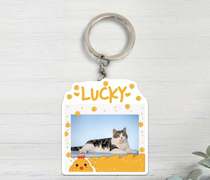 510 Cat Paradise) in the world of The kitty key of the kitty.