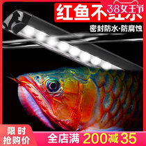 Old fisherman fish tank aquarium professional diving waterproof led lighting light red dragon golden dragon dragon fish lamp special lamp
