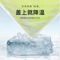 (Daily Good Shop) Painted Sleeping Little Ice by Summer Ice Cream is Antimicrobial Ice Cold Sensation Double Summer Cool Quilt