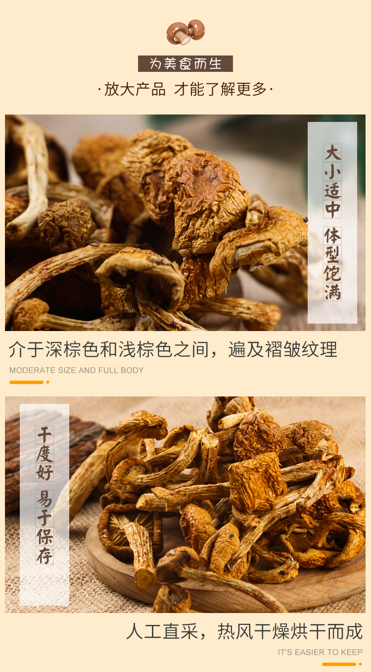 榛蘑东北特产榛蘑菇500g榛蘑滑子菇干货干榛蘑黄蘑菇小鸡炖蘑菇