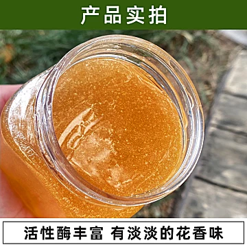 蜂蜜纯正天然农家野生蜂蜜500g[30元优惠券]-寻折猪