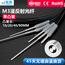 M3 Fiber Sensor Fiber Amplifier Diffuse Probe RS310 RS310-I RS310-S Fiber Cable