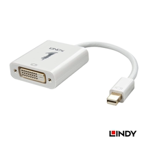 Germany LINDY MiniDpt turn DVI-D HD active adapter adapter