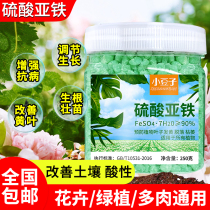 Ferrite sulfate household pot fertilizer flowerflowerwealthy tree green moon season particle acid water soluble fertilizer
