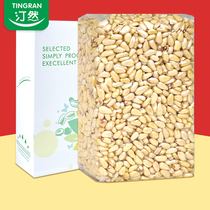 Tingran new goods large particles of pine nuts original flavor raw cooked 500g free of peeling and shelling Red pine box nuts Northeast specialty