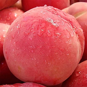 【5斤】新鲜现摘水蜜桃水果当季脆桃