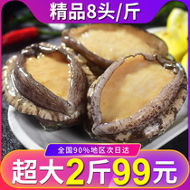 Abalone fresh frozen 8 head catty sea catch super large Laoshan abalone Non-abalone dried nine holes abalone Buddha jump abalone meat
