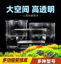 Tropical peacock juvenile fish delivery room multi-functional separate breeding net separation box suspension special bucket fish tank incubator