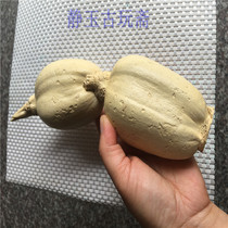 Lotus root simulation stone carving vegetable Lotus fresh and nutritious cultivation decoration workmanship lifelike antique antique