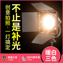 800W Red Head Light Photography God girl fill light led Photo Spotlight Live Light warm light shooting warm light warm color light Net red Indoor cross-dressing background trembling female beauty room layout