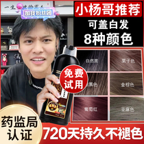 Colleagues' foam hair dye pure plant naturally dyes black genuine and dyes hair cream men and women black tea at home