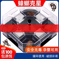 Catch Cockroach Drug Except Kill Catcher Household Deworming House Patch Box Kitchen Powerful Extermination Rocockroach Kstar Deity Room