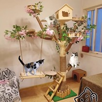 (Cat Climbing Frame) Special Clearance Cat Nest All-in-One Cat Toy Cat Scratching Board Funny Cat Climbing Frame Cat Tree House