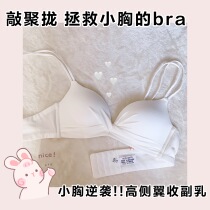 Deep Lane return underwear without steel ring gathering adjustment small bra thin flat chest cross with bra