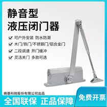 Automatic door closer medium large retractable 180 degrees 65kg fire door hydraulic buffer mute