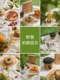 피크닉 사진 소품, 야외 꽃다발, 식탁보, 접시, 대기, 장식, 작은 장식품, 신선한 장신구, 신선한 캠핑, 음식 및 음료 사진, 풀 식사 장면 건설 세트 피크닉 사진 소품, 야외 꽃다발, 식탁보, 접시, 대기, 장식, 작은 장식품, 신선한 장신구, 신선한 캠핑, 음식 및 음료 사진, 풀 식사 장면 건설 세트