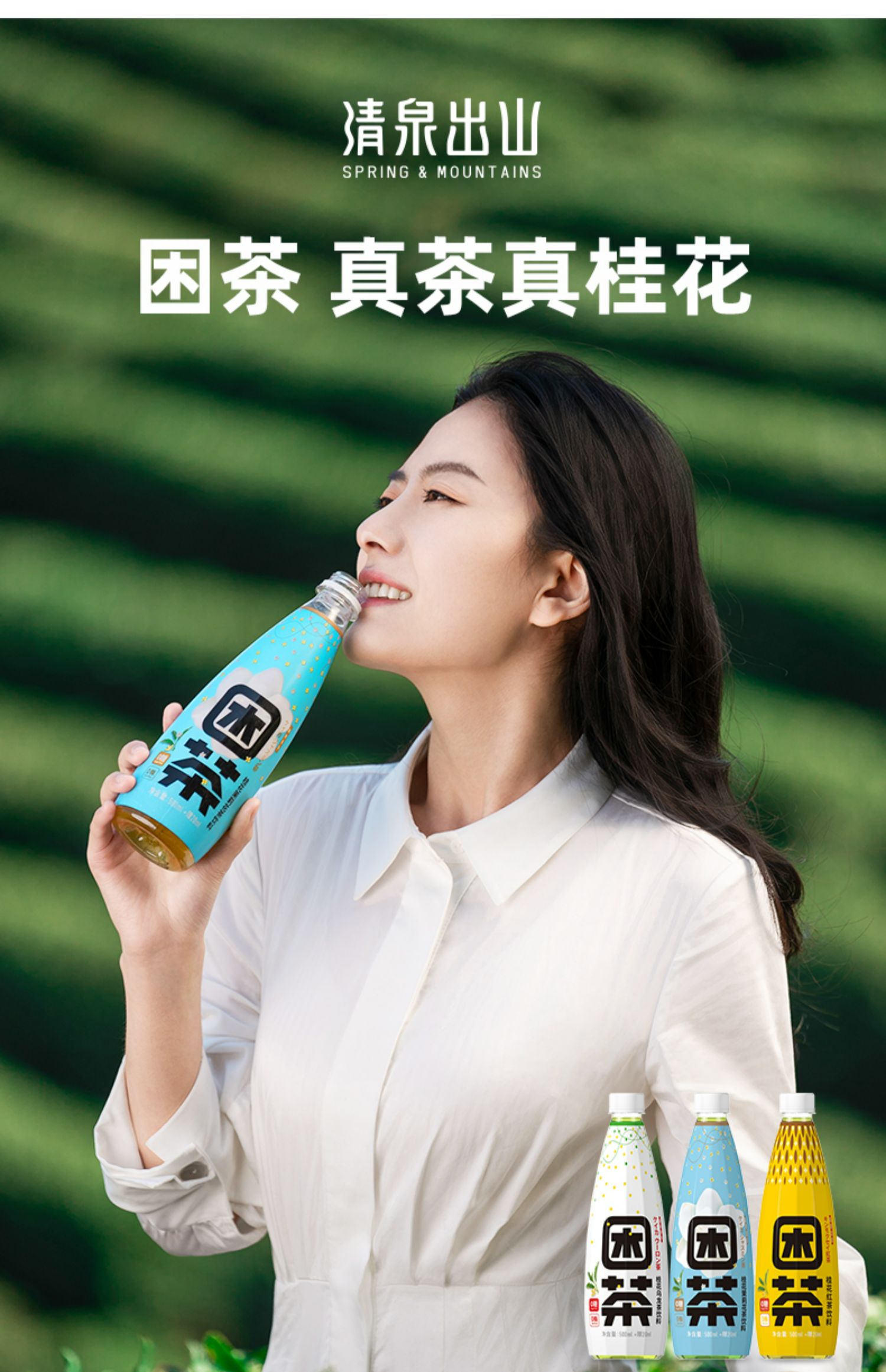 清泉出山困茶桂花茉莉花乌龙茶红茶无糖网红饮料520ml15瓶整箱