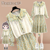 Small Red Book Type Grass Shake Recommendation 2022 Early Spring Dress New Knit Machia Snowspun Small Crummy Dress Suit