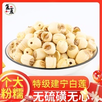 Authentic Jianning farmers produce fresh handmade coreless white lotus seed premium dry bulk 500g