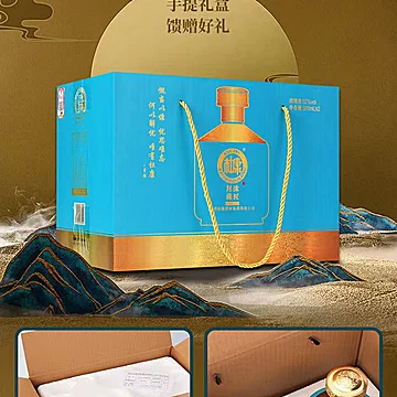 白水杜康高级礼盒500ml*2瓶封藏浓匠[450元优惠券]-寻折猪