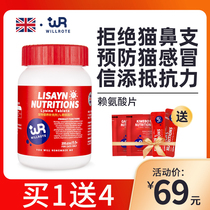 Willot pet lysine cat sneezes with cat-nose kitty and tears taurine Vitamin cat amine