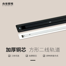 To The World Lighting Rail Strip LED Spotlight COB1 Mi 1 5 m 2 m Slip Rail Bad Black & White Joint Thickened Copper Core
