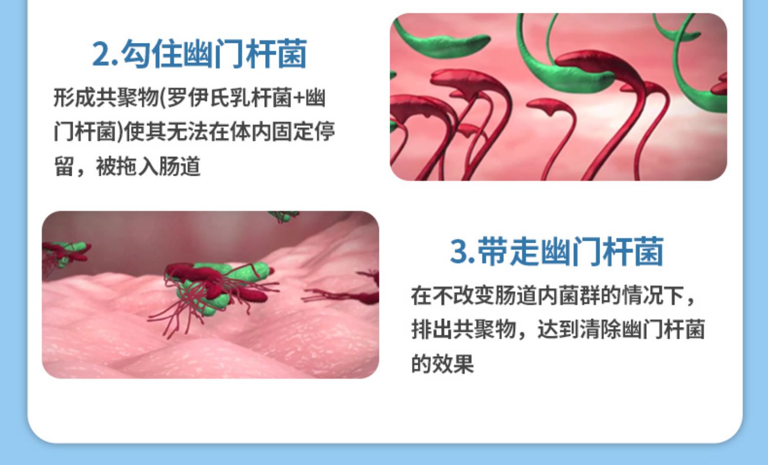 【签到+淘金币】德国养胃益生菌保健60粒