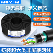 Super Category 6 armored network cable pure oxygen-free copper core unshielded outdoor high-speed engineering grade anti-mouse bite steel strip iron sheet