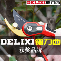 Delixi Scissors Fruit Trees Gardening Tools Branches Garden Flower Branches Flower Art Scissors Trimming Branches Strong Scissors