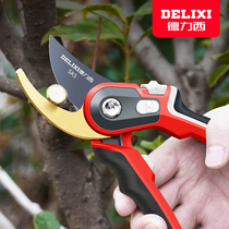 Delixi pruning scissors Pruning scissors Fruit tree pruning branches Strong flower scissors Gardening garden floral art labor-saving scissors