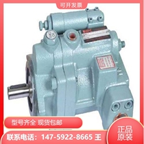 Taiwan Xuhong HHPC plunger pump P16-HL-EDPV-F-R-01 P22-HL-EDV-F-R-01