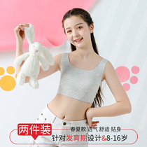 Summer girl big child girl underwear Junior high school primary school students incognito development vest anti-bump 10-13-16 years old