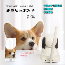 petool Pai dog infrared laser interactive toy Hi tease supplies Puzzle tease cat pet machine