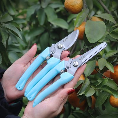 修枝剪刀果树枝园林家用粗枝剪子采摘花果神器园艺专用不锈钢工具
