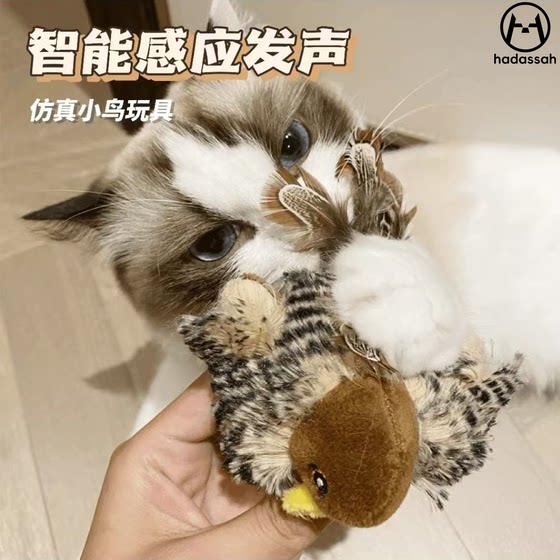 Cat toys hanging birds making sounds funny cat sticks little sparrow dog cats relieve boredom and hang self-sex stuffed toys
Cat toys hanging birds making sounds funny cat sticks little sparrow dog cats relieve boredom and hang self-sex stuffed toys