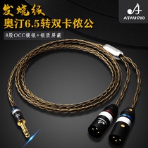 ATAUDIO Fever 6 5 turn Canon male head silver plated 6 35 turn double Cannon 10% 2 tuning sound desk speaker line