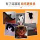 Ruoshang 레이저 포인트 고양이 막대기 적외선 고양이 스틱 고양이 스틱 빨간 점 펜 레이저 포인트 고양이 스틱 고양이 스틱 장난감 Ruoshang 레이저 포인트 고양이 막대기 적외선 고양이 스틱 고양이 스틱 빨간 점 펜 레이저 포인트 고양이 스틱 고양이 스틱 장난감